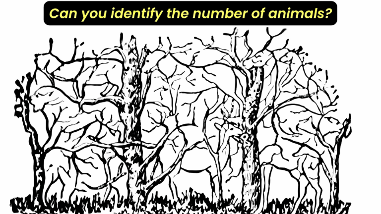 Optical Illusion IQ Test